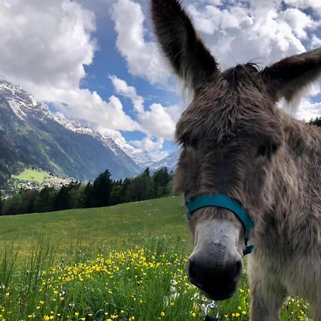 Chalet Riviere Du Bon Nant Location De 6 A 14 Personnes En Haute Savoie Saint-Gervais-les-Bains Kültér fotó