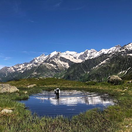 Chalet Riviere Du Bon Nant Location De 6 A 14 Personnes En Haute Savoie Saint-Gervais-les-Bains Kültér fotó