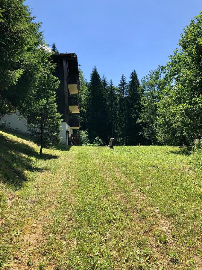 Chalet Riviere Du Bon Nant Location De 6 A 14 Personnes En Haute Savoie Saint-Gervais-les-Bains Kültér fotó