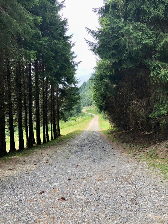 Chalet Riviere Du Bon Nant Location De 6 A 14 Personnes En Haute Savoie Saint-Gervais-les-Bains Kültér fotó