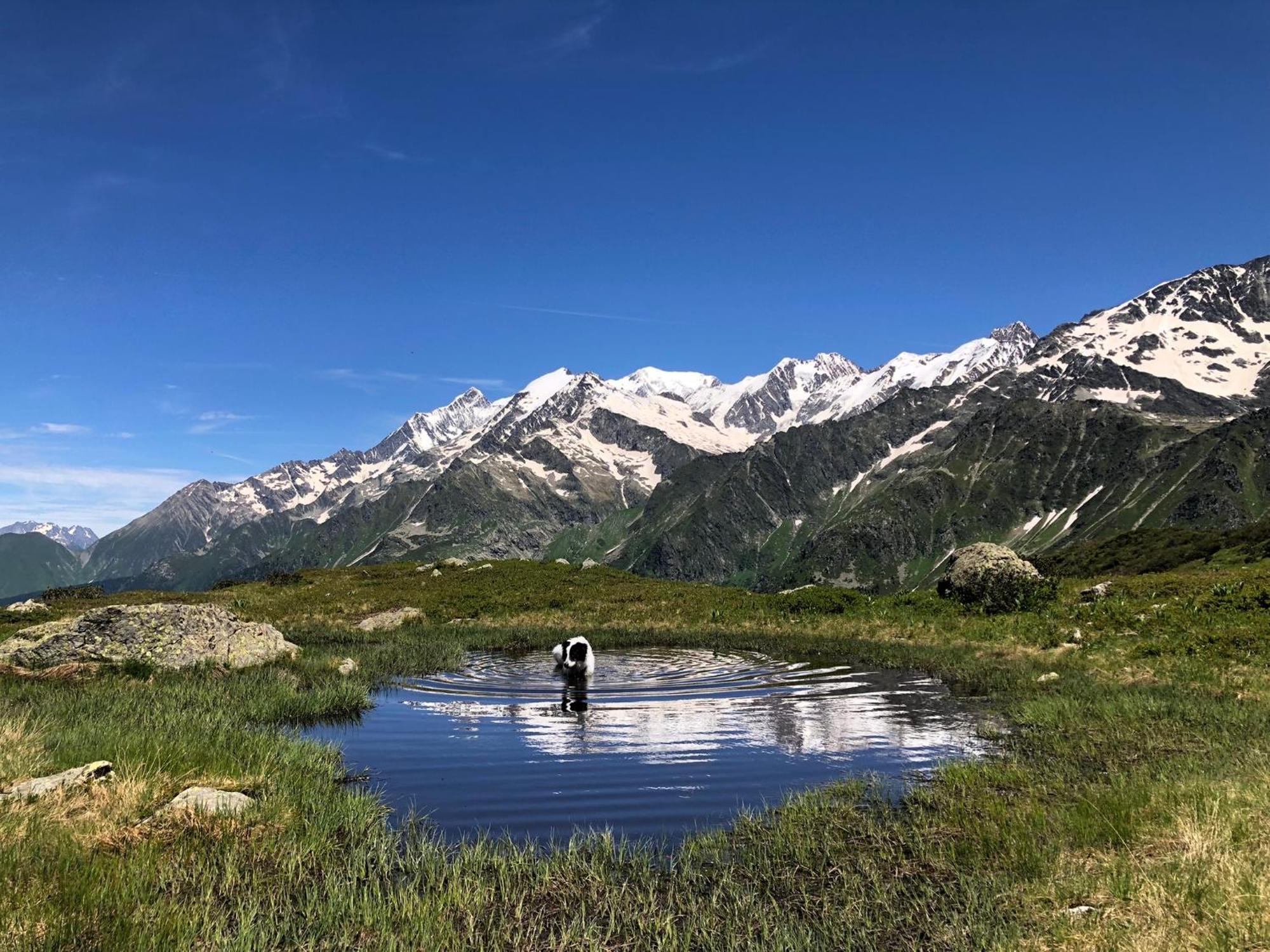 Chalet Riviere Du Bon Nant Location De 6 A 14 Personnes En Haute Savoie Saint-Gervais-les-Bains Kültér fotó