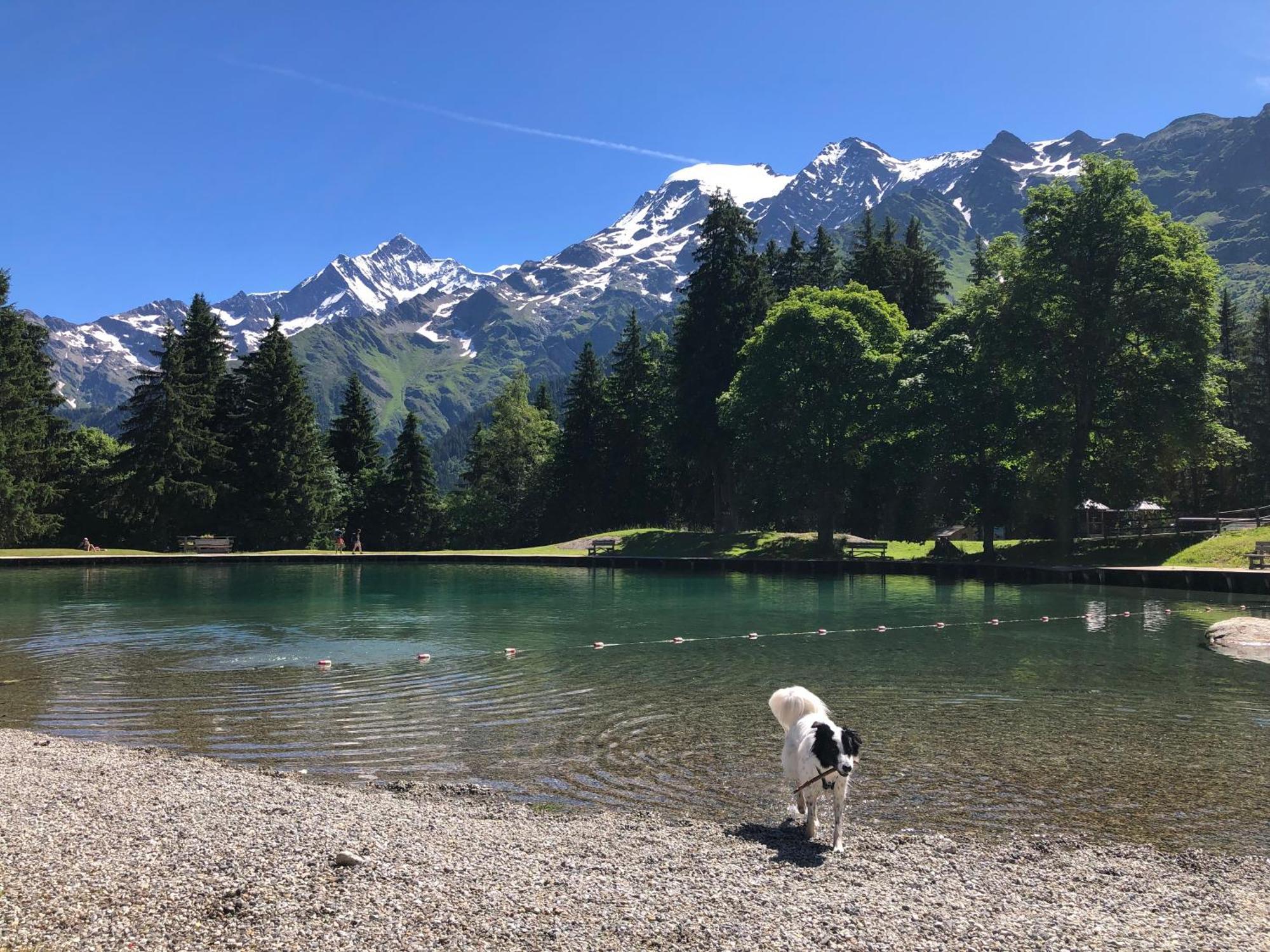 Chalet Riviere Du Bon Nant Location De 6 A 14 Personnes En Haute Savoie Saint-Gervais-les-Bains Kültér fotó