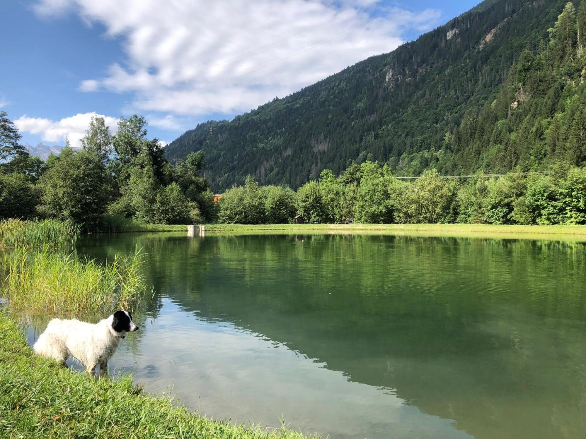 Chalet Riviere Du Bon Nant Location De 6 A 14 Personnes En Haute Savoie Saint-Gervais-les-Bains Kültér fotó