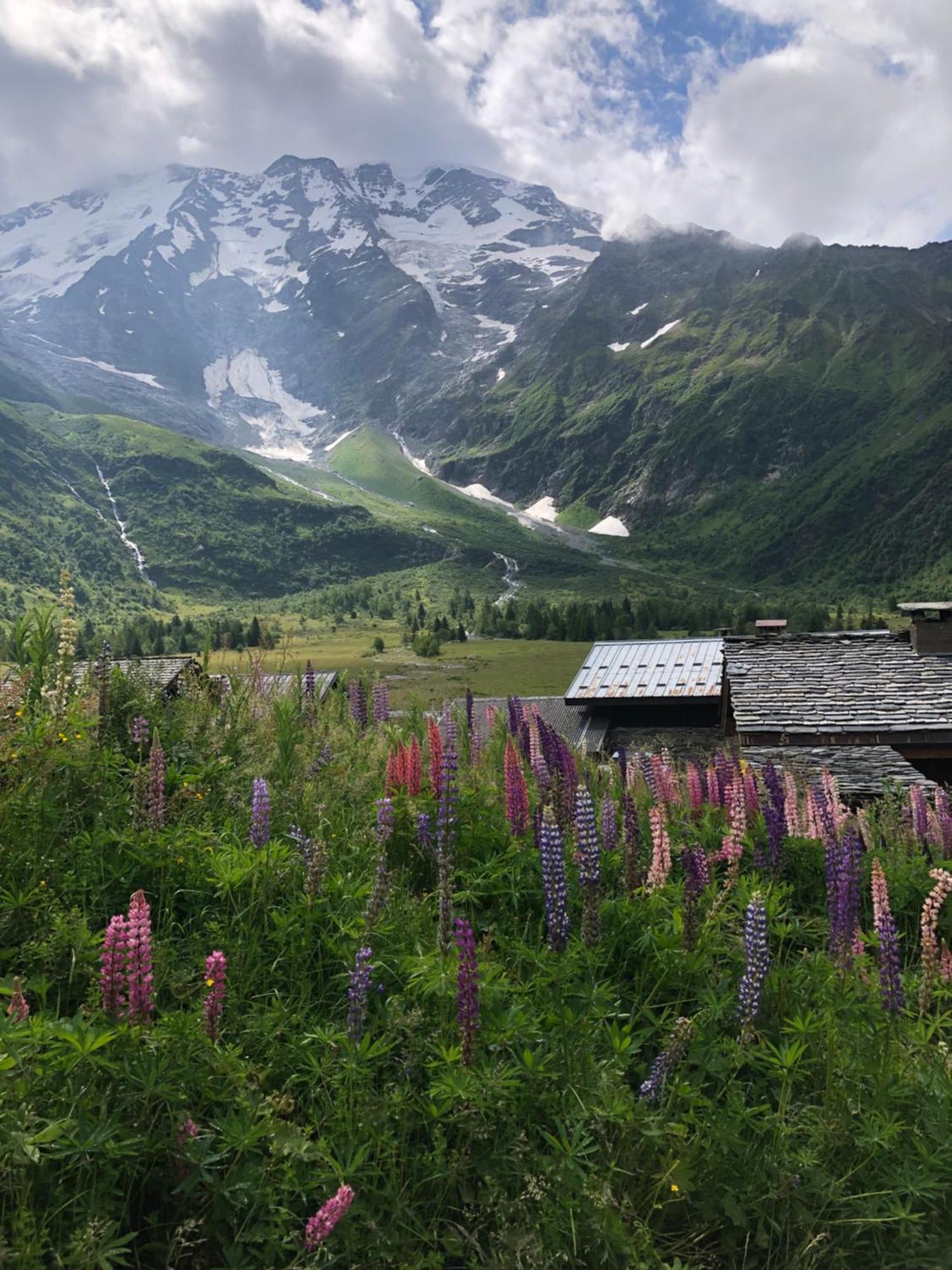 Chalet Riviere Du Bon Nant Location De 6 A 14 Personnes En Haute Savoie Saint-Gervais-les-Bains Kültér fotó